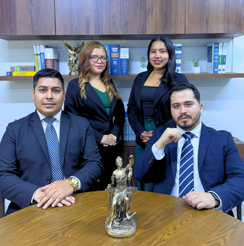 EQUIPO PROFESIONAL